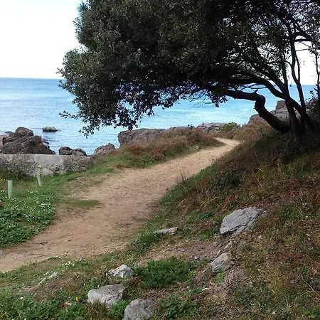 Playamar Ноха